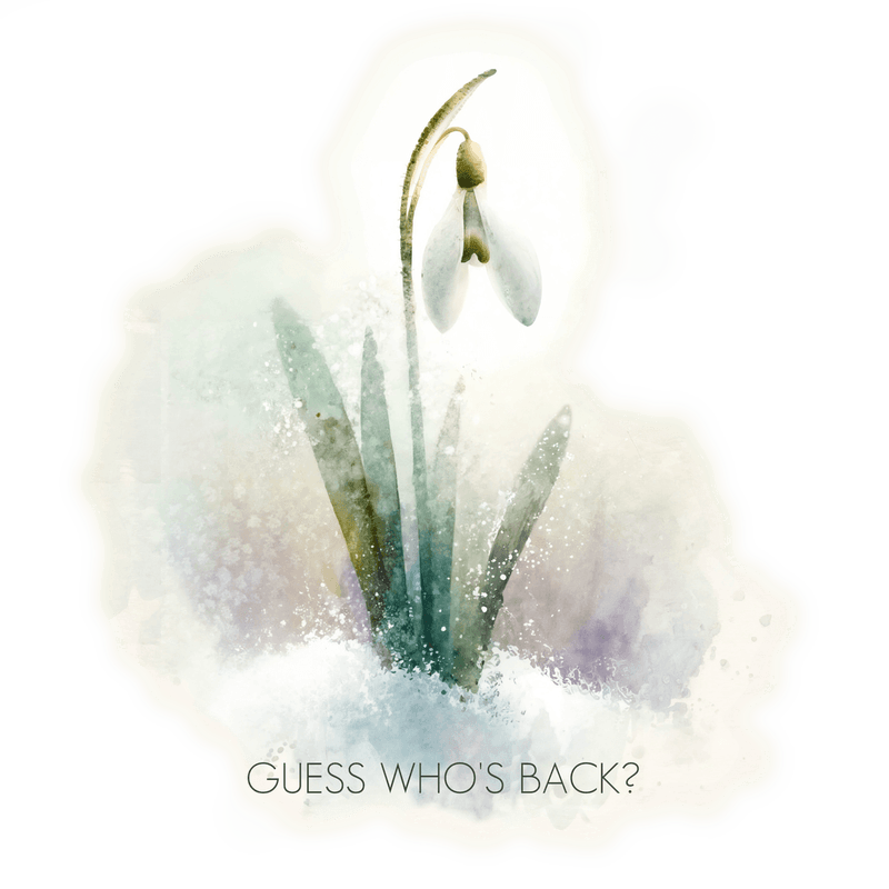 Guess Who’s Back? 2