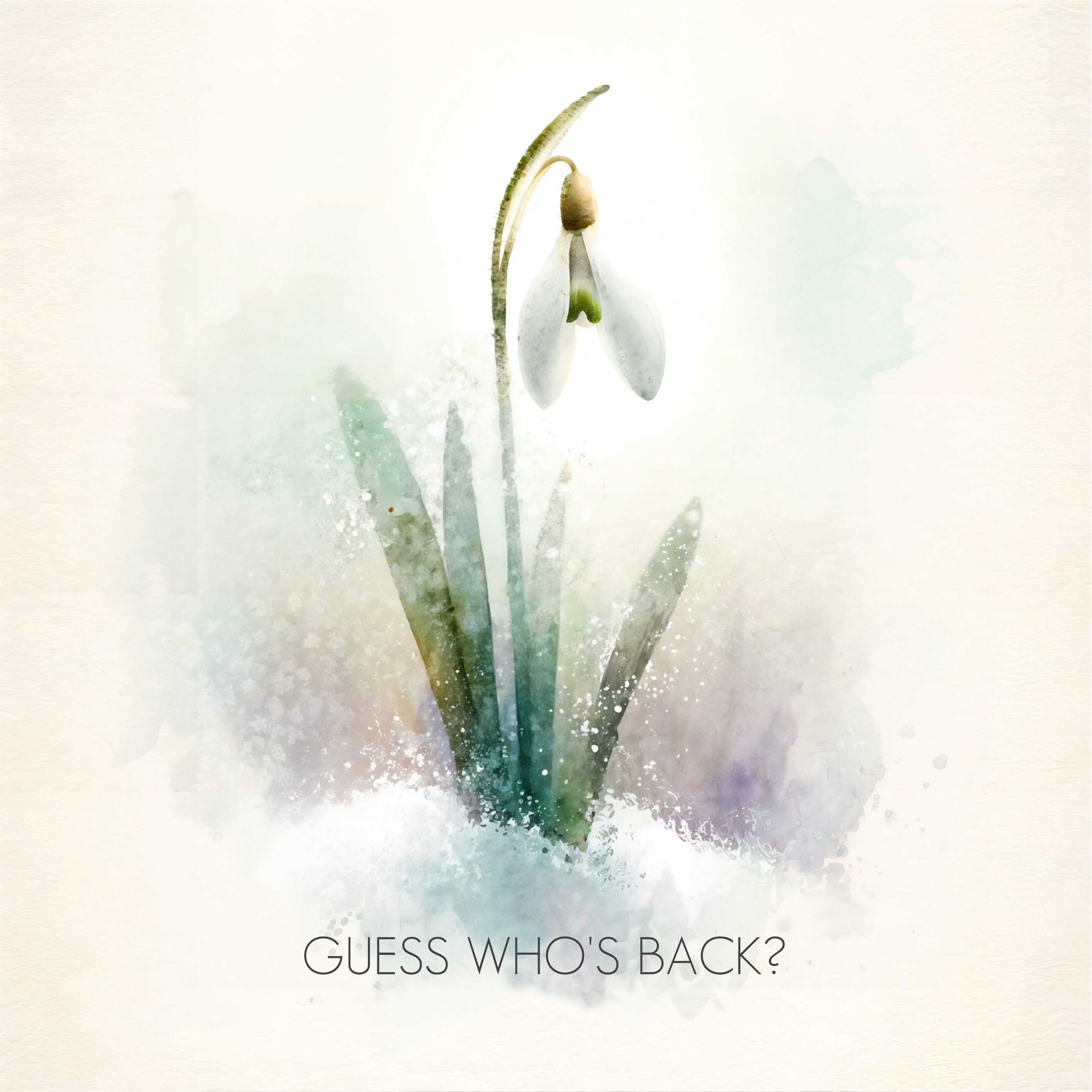Guess Who’s Back? 3
