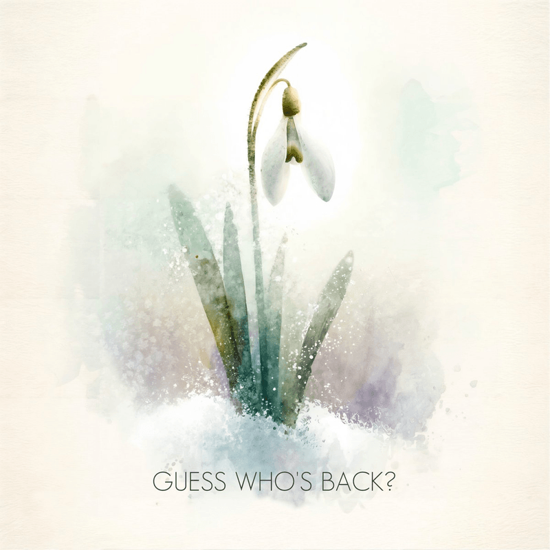 Guess Who’s Back? 3